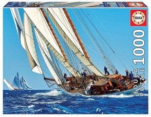 Dėlionė Jachtos, 1000 detalių kaina ir informacija | Dėlionės (puzzle) | pigu.lt
