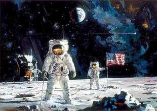 Головоломка Первый человек на Луне, 1000 деталей цена и информация | Пазлы | pigu.lt