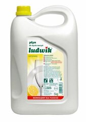Моющее средство для мытья посуды Ludwick 5 л., запах лимона цена и информация | Средства для мытья посуды | pigu.lt
