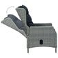 Atlošiama sodo kėdė su pagalvėlėmis, pilka kaina ir informacija | Lauko kėdės, foteliai, pufai | pigu.lt