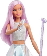 Lėlė Barbie dainininkė, FXN98 kaina ir informacija | Žaislai mergaitėms | pigu.lt