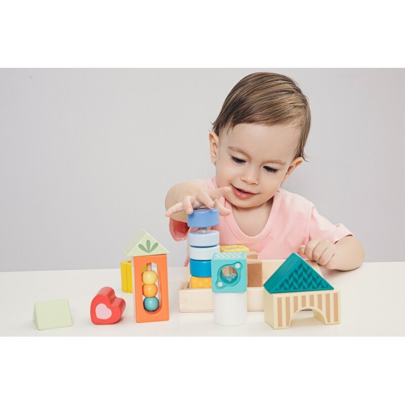 Medinės edukacinės kaladėlės цена и информация | Žaislai kūdikiams | pigu.lt