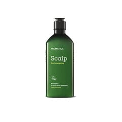 Rozmarino galvos odos pleiskanojamas šampūnas 250ml kaina ir informacija | Šampūnai | pigu.lt