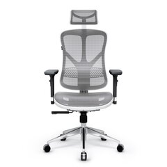 Biuro kėdė Diablo V-Basic, pilka/juoda kaina ir informacija | Biuro kėdės | pigu.lt