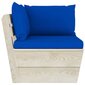 Sodo baldų komplektas iš palečių su pagalvėmis, 10 dalių, mėlynas kaina ir informacija | Lauko baldų komplektai | pigu.lt