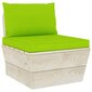 Sodo baldų komplektas iš palečių su pagalvėmis, 10 dalių, žalias kaina ir informacija | Lauko baldų komplektai | pigu.lt