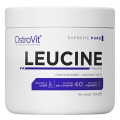 OstroVit Pure Leucine, 200 g kaina ir informacija | Aminorūgštys | pigu.lt