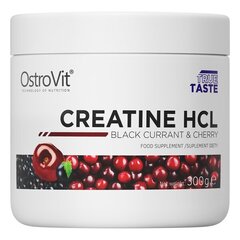 OstroVit Creatine HCL Черная смородина с вишней, 300 г цена и информация | Креатин | pigu.lt