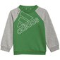 Sportinis kostiumas berniukams Adidas Infants Essentials Big Logo Junior GT5677 (75294), pilkas kaina ir informacija | Komplektai berniukams | pigu.lt