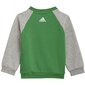Sportinis kostiumas berniukams Adidas Infants Essentials Big Logo Junior GT5677 (75294), pilkas kaina ir informacija | Komplektai berniukams | pigu.lt