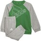 Sportinis kostiumas berniukams Adidas Infants Essentials Big Logo Junior GT5677 (75294), pilkas kaina ir informacija | Komplektai berniukams | pigu.lt