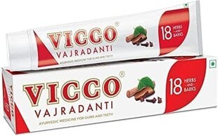 Ajurvedinė dantų pasta Vicco, 100 ml kaina ir informacija | Dantų šepetėliai, pastos | pigu.lt