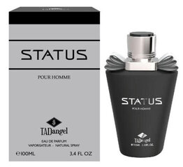 Парфюмированная вода Afnan Status homme EDP для мужчин, 100 мл цена и информация | Мужские духи | pigu.lt