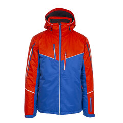 Лыжная куртка мужская Trespass Adwell, синяя цена и информация | Мужская лыжная одежда | pigu.lt