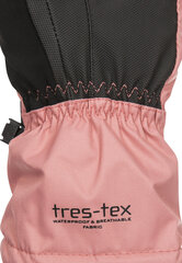 Slidinėjimo pirštinės moterims Trespass Embray, rožinės kaina ir informacija | Slidinėjimo apranga moterims | pigu.lt
