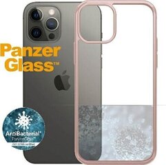 Чехол для телефона iPhone 12/12 Pro цена и информация | Чехлы для телефонов | pigu.lt