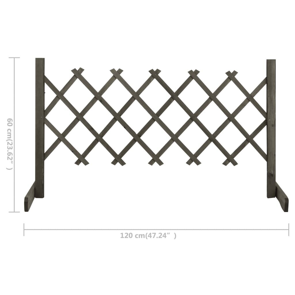 Sodo treliažas-tvora vidaXL, 120x60cm, eglės masyvas цена и информация | Tvoros ir jų priedai | pigu.lt
