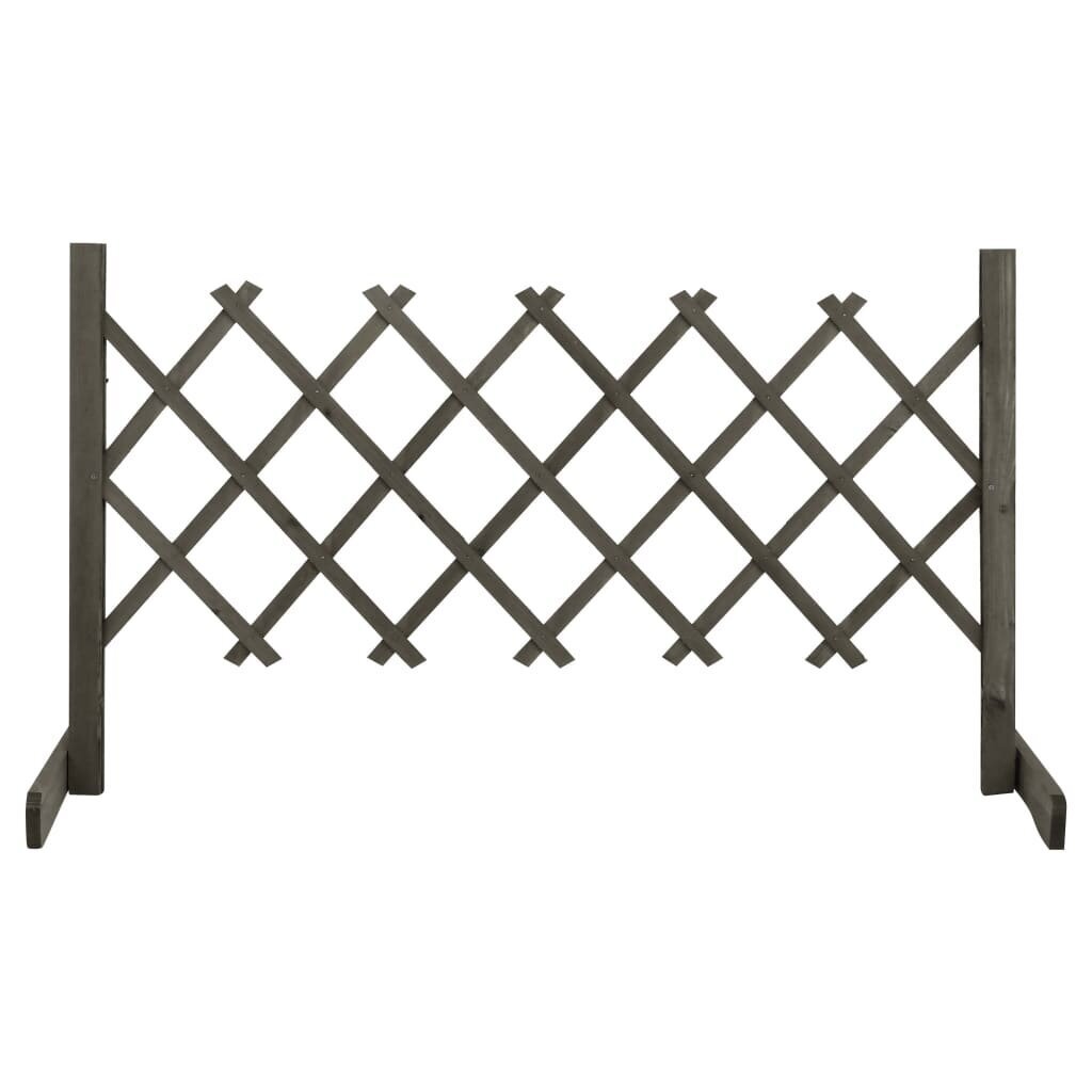 Sodo treliažas-tvora vidaXL, 120x60cm, eglės masyvas kaina ir informacija | Tvoros ir jų priedai | pigu.lt