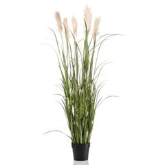 Dirbtinė pampų žolė vazone, 160cm цена и информация | Искусственные цветы | pigu.lt
