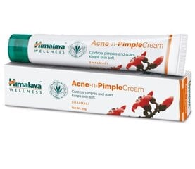 Veido kremas nuo spuogų Himalaya Anti-acne and Pimple, 20 g kaina ir informacija | Veido kremai | pigu.lt
