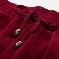 Женские штаны Marat SNP61017*01, бордовые цена и информация | Брюки | pigu.lt