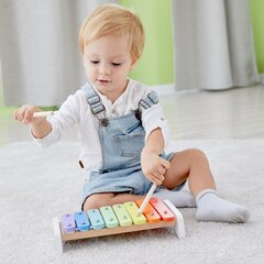 Medinis ksilofonas kaina ir informacija | Žaislai kūdikiams | pigu.lt