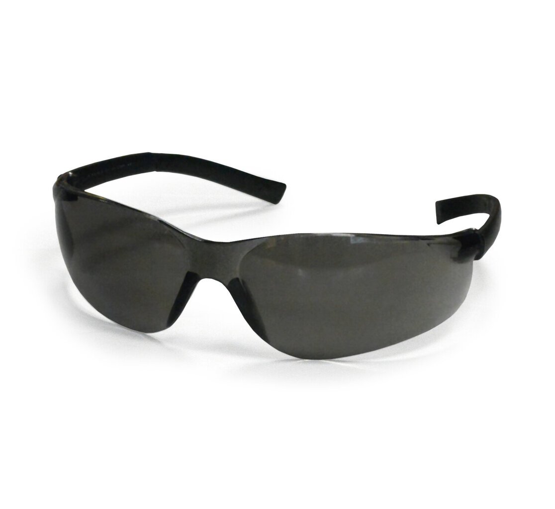 Tamsinti apsauginiai akiniai P9001A kaina ir informacija | Galvos apsauga | pigu.lt