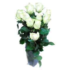 Baltos rožės, 11 vnt цена и информация | Живые цветы  | pigu.lt