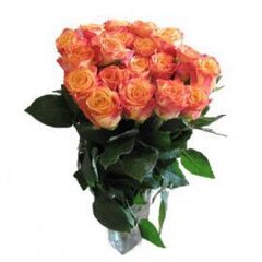 Oranžinės rožės, 11 vnt. kaina ir informacija | Gyvos gėlės | pigu.lt