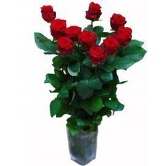 Raudonos rožės, 7 vnt. цена и информация | Живые цветы  | pigu.lt