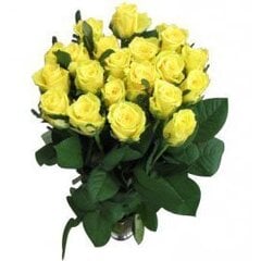 Geltonos rožės, 7 vnt. kaina ir informacija | Gyvos gėlės | pigu.lt