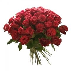 Raudonos rožės, 60 vnt. kaina ir informacija | Gyvos gėlės | pigu.lt