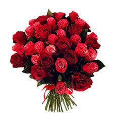 Raudonos-rožinės rožės, 50 vnt цена и информация | Живые цветы  | pigu.lt