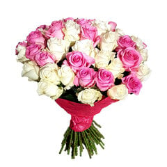 Baltos-rožinės rožės, 50 vnt цена и информация | Живые цветы  | pigu.lt
