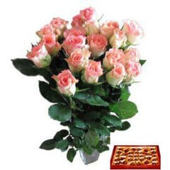 Rožinės rožės 11 vnt. + saldainiai kaina ir informacija | Gyvos gėlės | pigu.lt