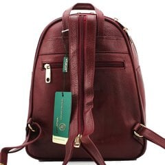 Рюкзак женский Wrangler 66171500HSC, красный цена и информация | Женские сумки | pigu.lt