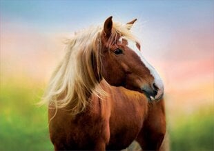 Головоломка Лошадь, 500 деталей цена и информация | Пазлы | pigu.lt