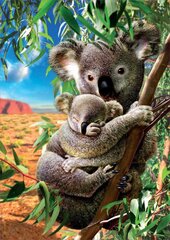 Dėlionė Koala, 500 detalių kaina ir informacija | Dėlionės (puzzle) | pigu.lt