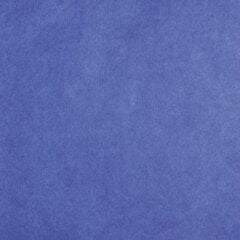 Šilkinis popierius Clairefontaine, 0,75m x 0,50m, 24 l., mėlynas цена и информация | Товары для упаковки подарков | pigu.lt
