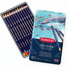 Spalvoti akvareliniai pieštukai Derwent INKTENSE, 12 sp., metalinė dėžutė kaina ir informacija | Piešimo, tapybos, lipdymo reikmenys | pigu.lt