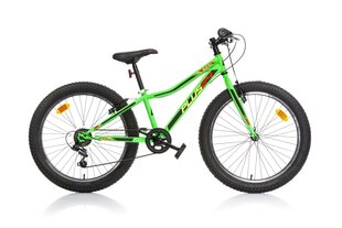 Vaikų dviratis Aurelia Plus 24", žalias kaina ir informacija | Dviračiai | pigu.lt