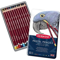 Spalvoti pieštukai Derwent PASTEL PENCILS, 12 sp., metalinė dėžutė цена и информация | Принадлежности для рисования, лепки | pigu.lt