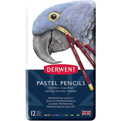 Spalvoti pieštukai Derwent PASTEL PENCILS, 12 sp., metalinė dėžutė kaina ir informacija | Piešimo, tapybos, lipdymo reikmenys | pigu.lt