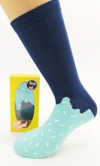 Kojinės vyrams Popsicle socks kaina ir informacija | apollo Apranga, avalynė, aksesuarai | pigu.lt