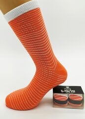 Unisex kojinės dovanų dėžutėje Sushi socks kaina ir informacija | apollo Apranga, avalynė, aksesuarai | pigu.lt