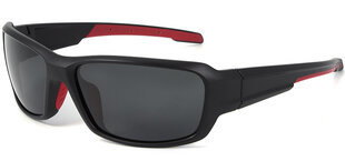 Солнцезащитные очки Sport Label 1921B Polarized цена и информация | Солнцезащитные очки для мужчин | pigu.lt