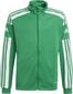 Vaikiškas megztinis Adidas Squadra 21 GP6456, žalias, 152 cm цена и информация | Futbolo apranga ir kitos prekės | pigu.lt