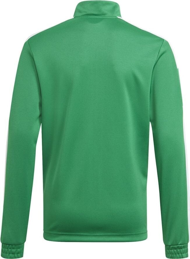 Vaikiškas megztinis Adidas Squadra 21 GP6456, žalias, 152 cm kaina ir informacija | Futbolo apranga ir kitos prekės | pigu.lt
