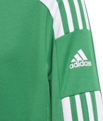 Vaikiškas megztinis Adidas Squadra 21 GP6456, žalias, 152 cm kaina ir informacija | Adidas teamwear Sportas, laisvalaikis, turizmas | pigu.lt