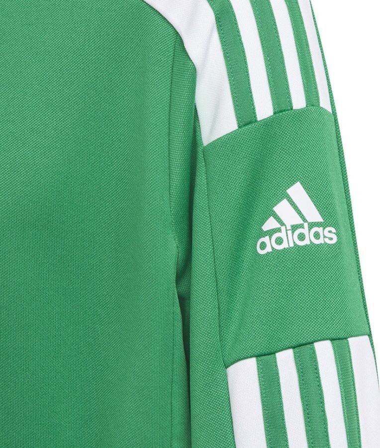 Vaikiškas megztinis Adidas Squadra 21 GP6456, žalias, 152 cm цена и информация | Futbolo apranga ir kitos prekės | pigu.lt
